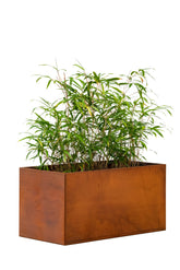 Jardinière Hudson grande 120x60x60cm